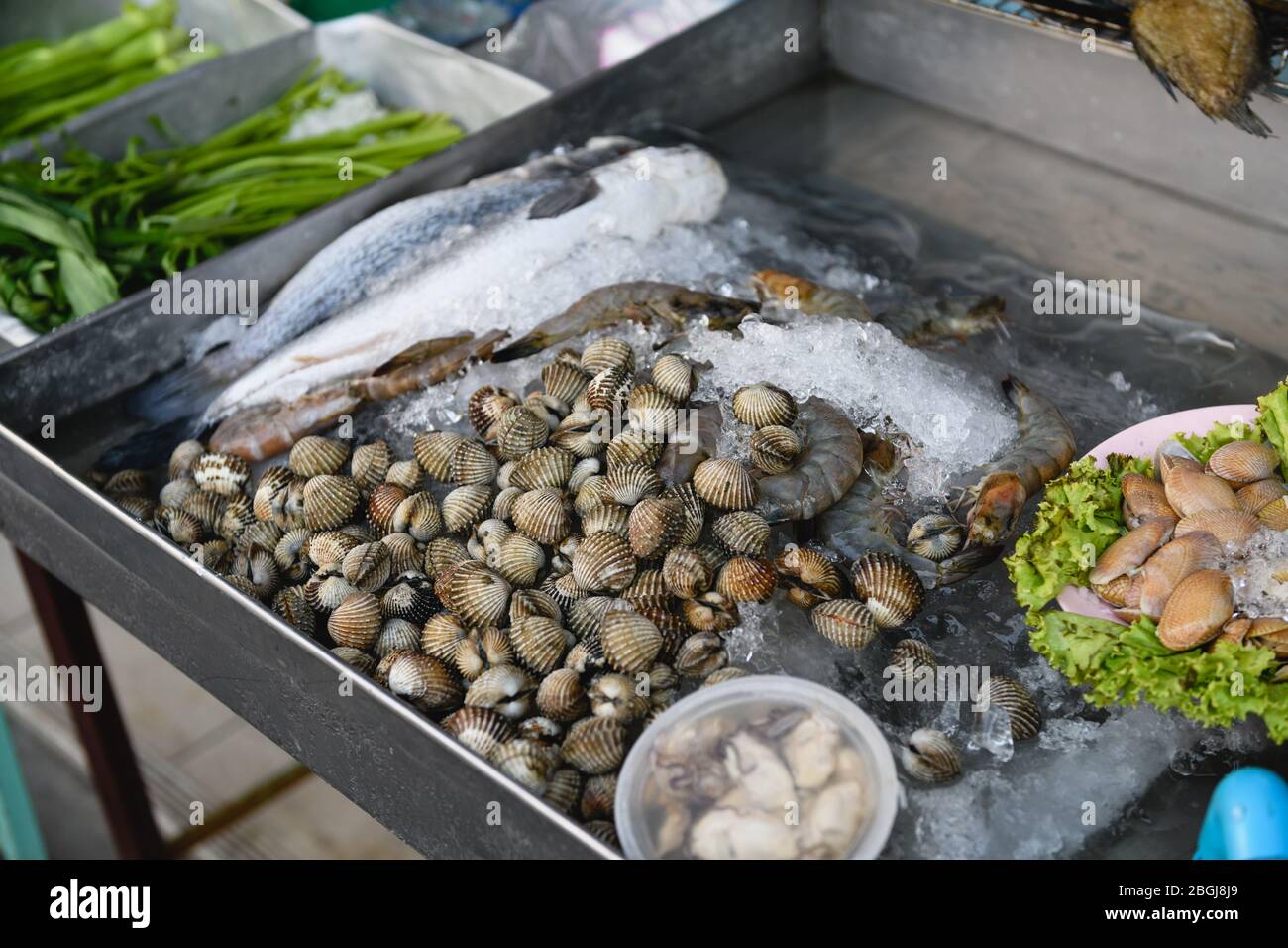 Seafood counter with mollusks at food market Stock Photo - Alamy