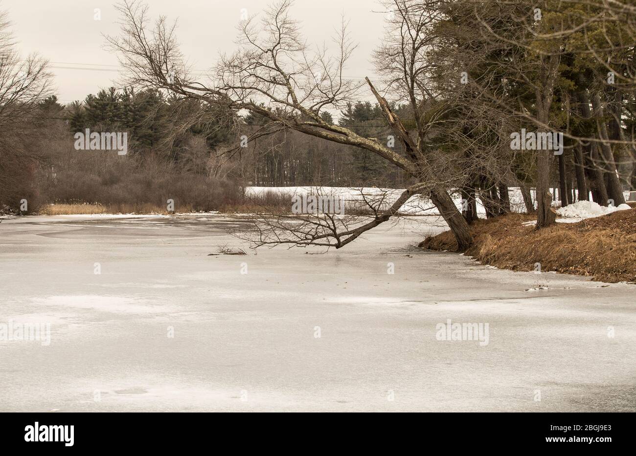 Semi private golf club along the banks of The Merrimack River. Real