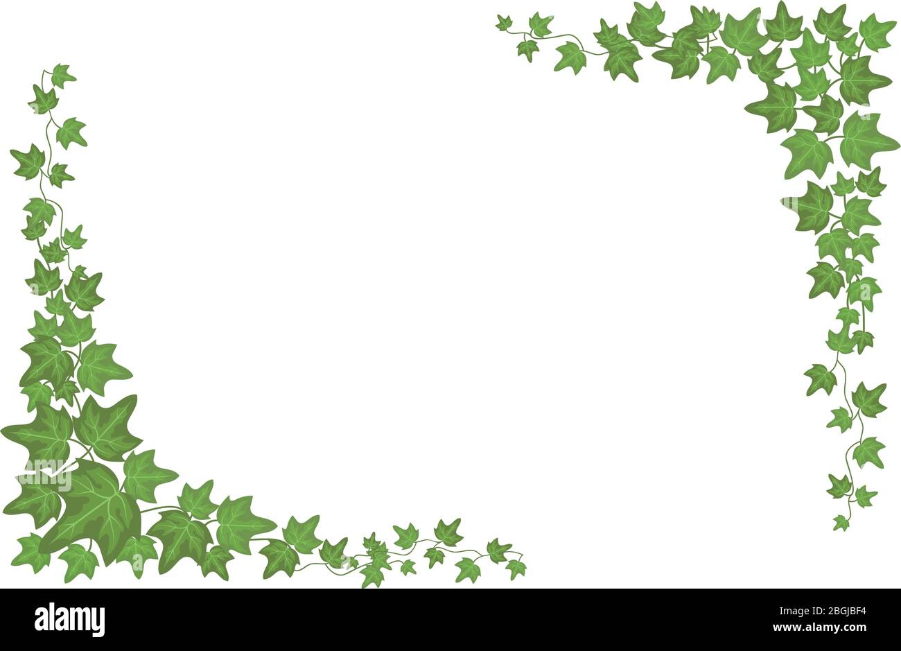 Decorative green ivy wall climbing plant vector frame. Foliage decoration wall, branch frame green leaf illustration Stock Vector