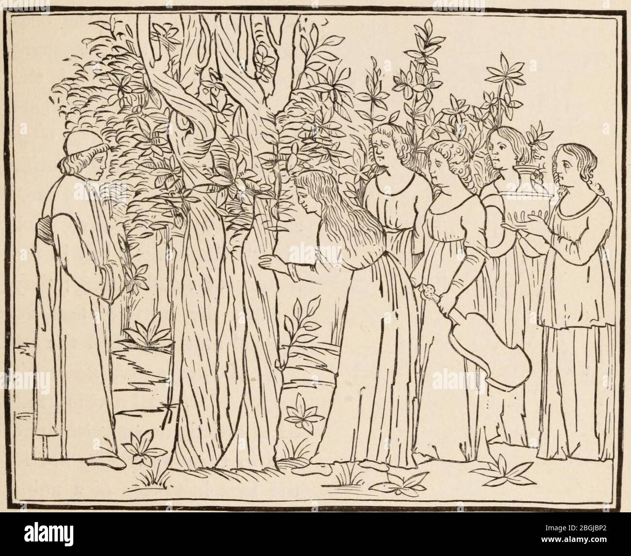 History of Wood Engraving 0081 Stock Photo Alamy