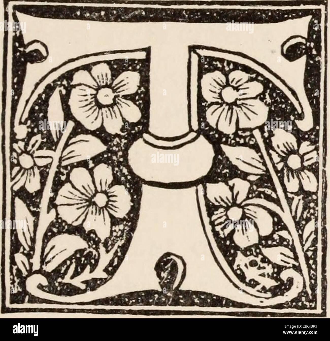 History of Wood Engraving 0137 Stock Photo Alamy