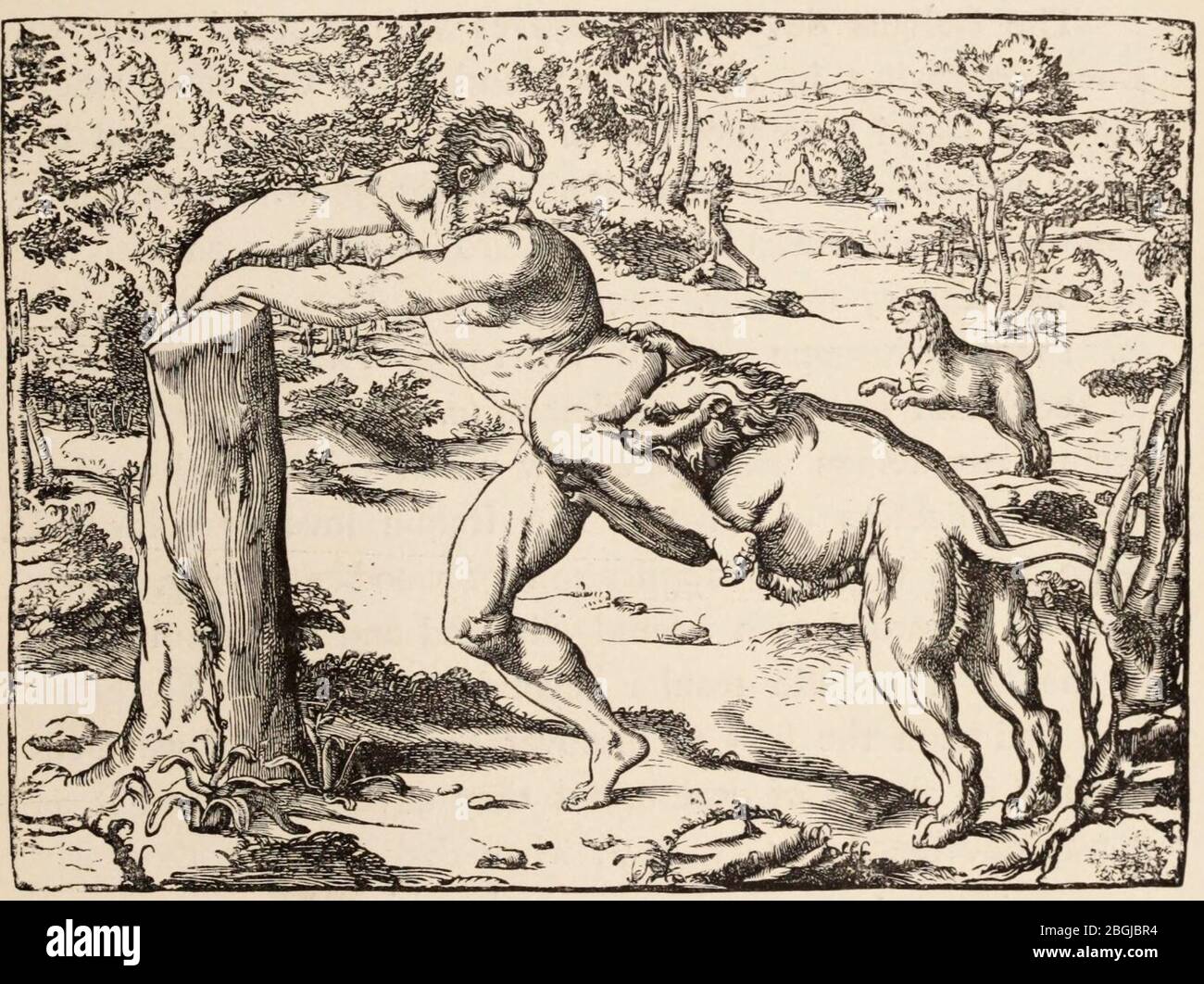 History of Wood Engraving 0147 Stock Photo Alamy