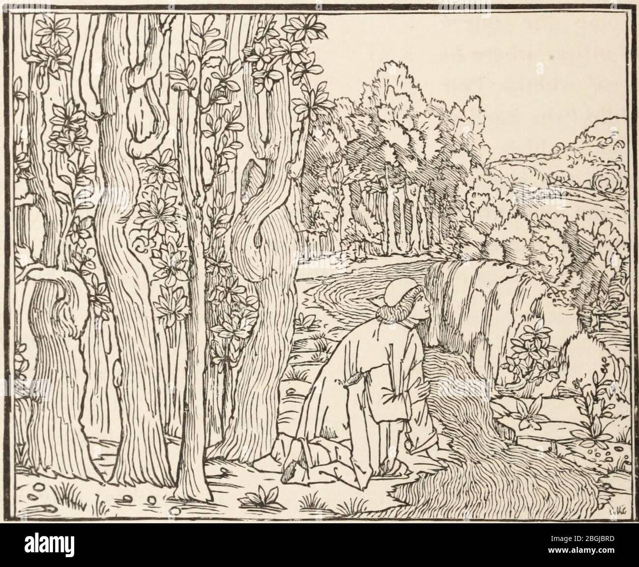 History of Wood Engraving 0080 Stock Photo Alamy