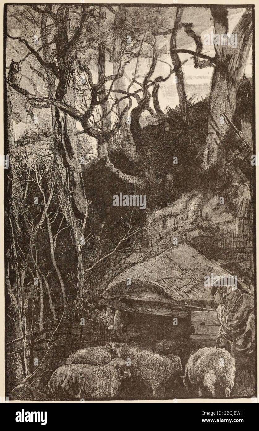 History of Wood Engraving 0189 Stock Photo Alamy