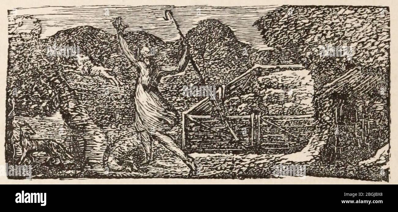 History of Wood Engraving 0164a Stock Photo Alamy
