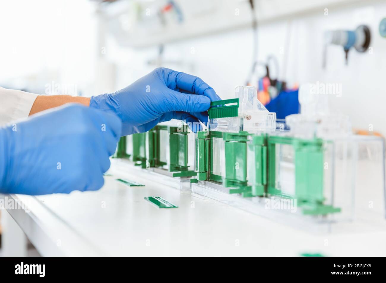 Scientist experimenting in laboratory Stock Photo