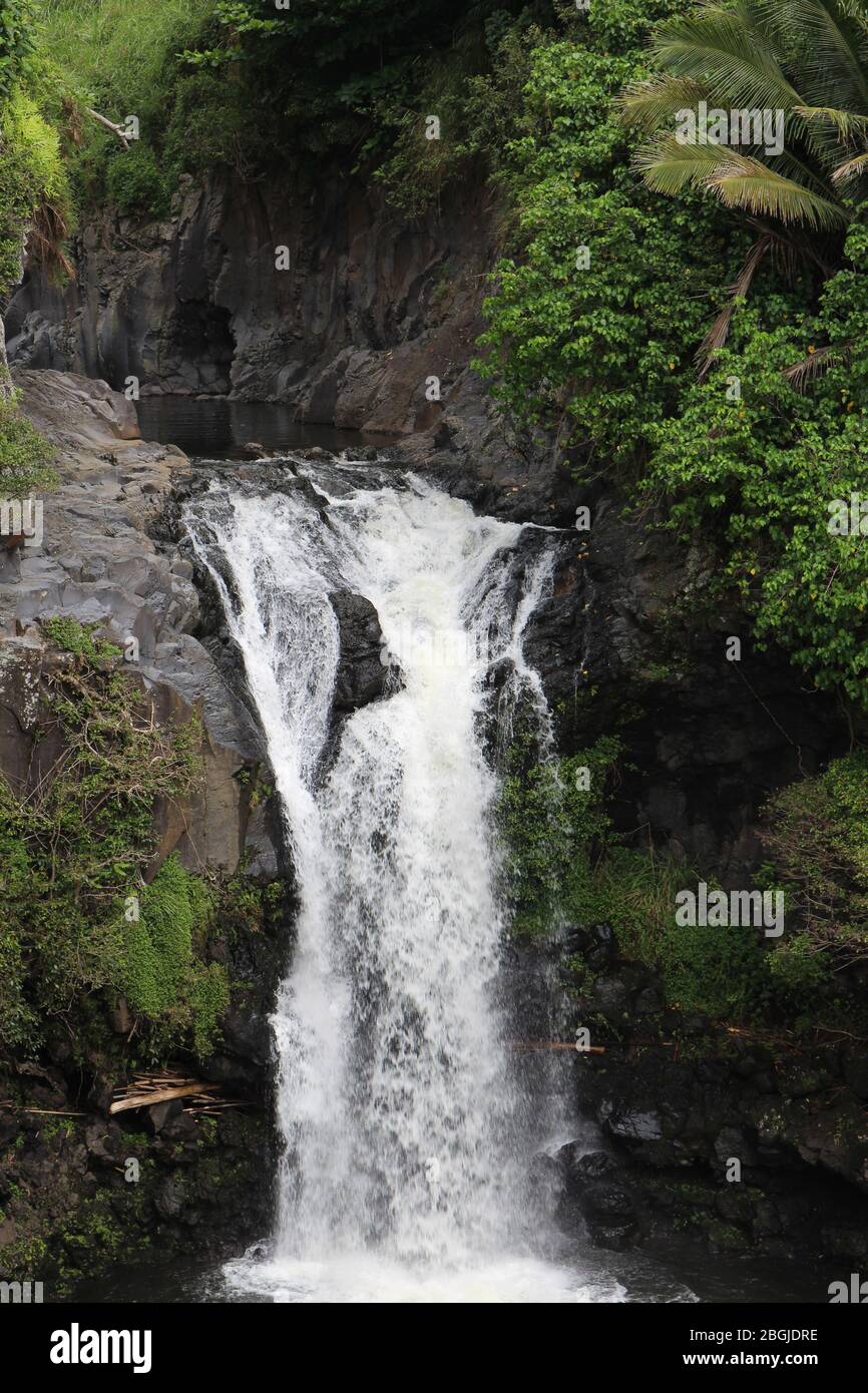 Makahiku Falls plummeting over volcanic rock into Palikea Stream in the Kipahulu District, Haleakala National Park, Maui, Hawaii, USA Stock Photo