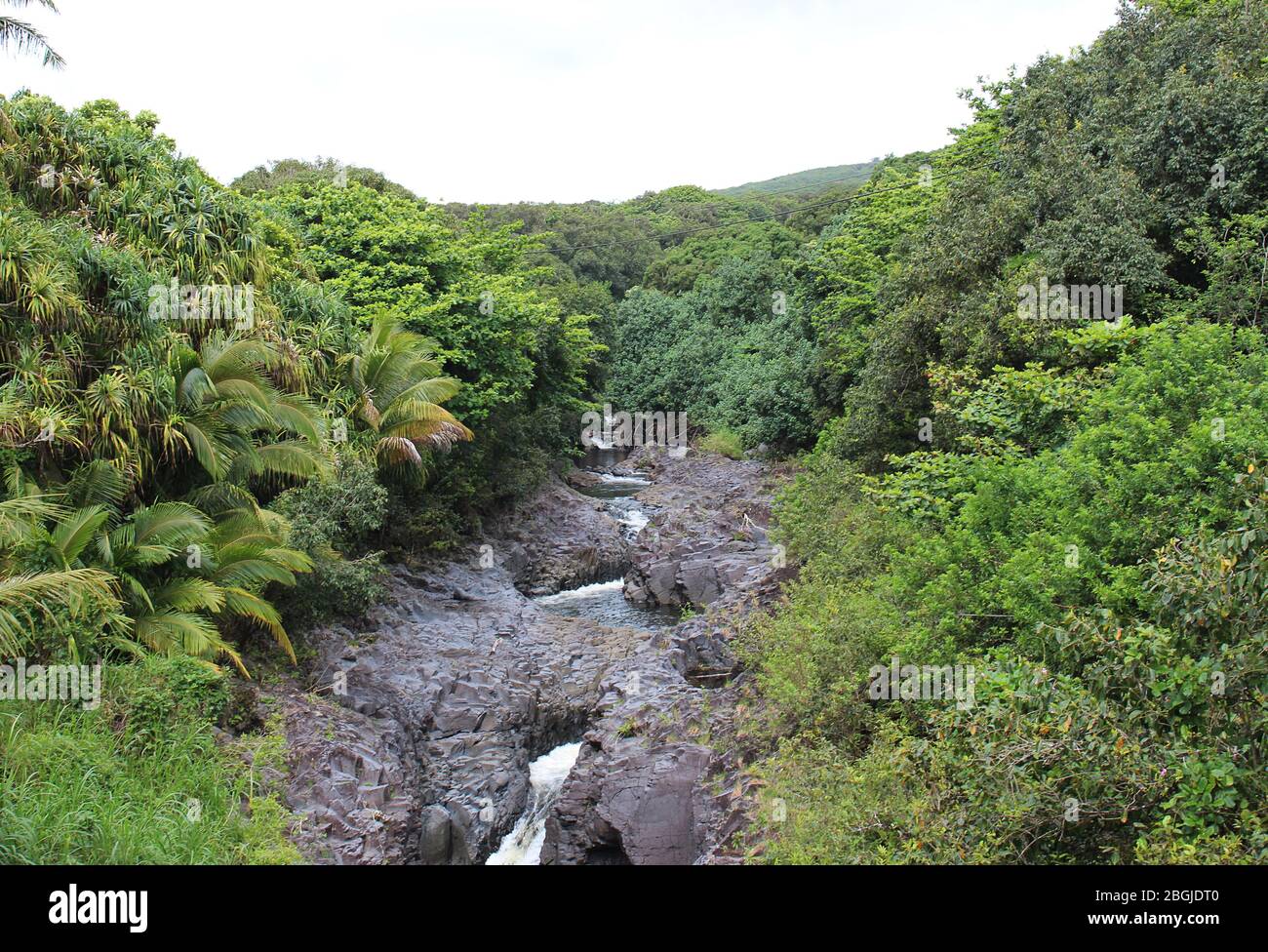 The Seven Sacred Pools, Oheo Gulch, formed by the Palikea Stream flowing through volcanic rock surrounded by rainforest in the Kipahulu District, Maui Stock Photo