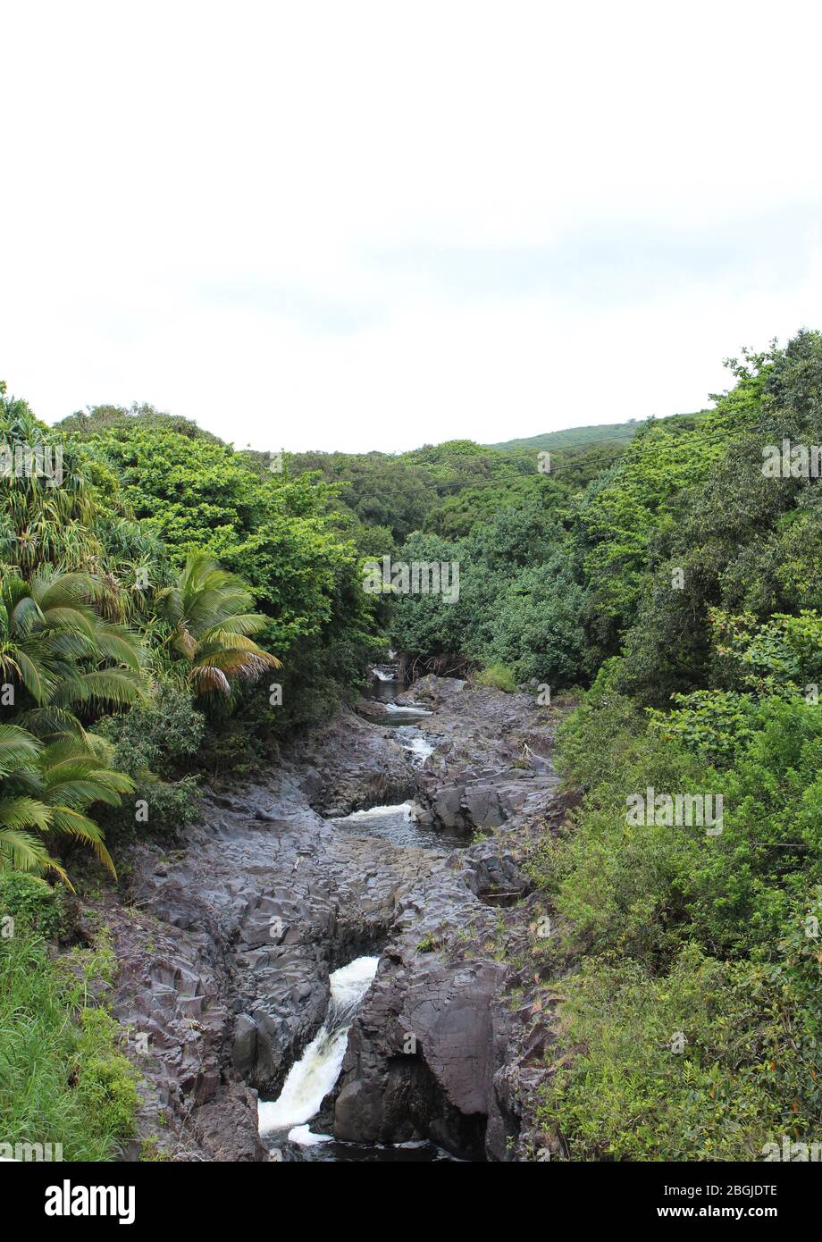 The Seven Sacred Pools, Oheo Gulch, formed by the Palikea Stream flowing through volcanic rock surrounded by rainforest in the Kipahulu District, Maui Stock Photo