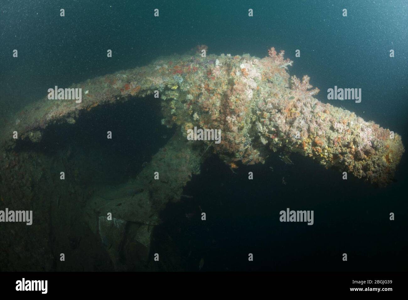 HMAS Perth (D29) wreck photo 03 in October 2015 Stock Photo Alamy