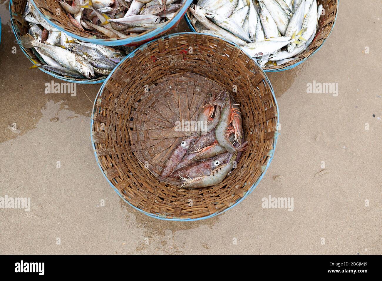 Where they fish shrimps with a traditional fishing basket hi-res stock  photography and images - Alamy