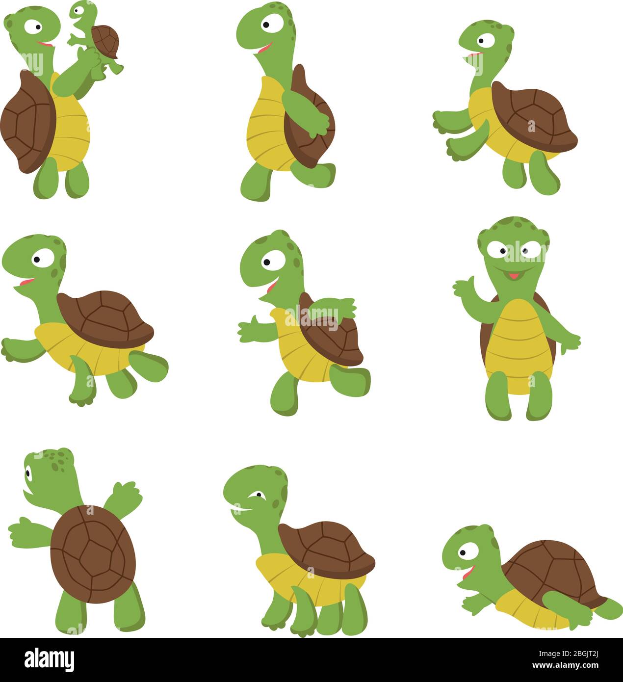 Terrapin station turtles