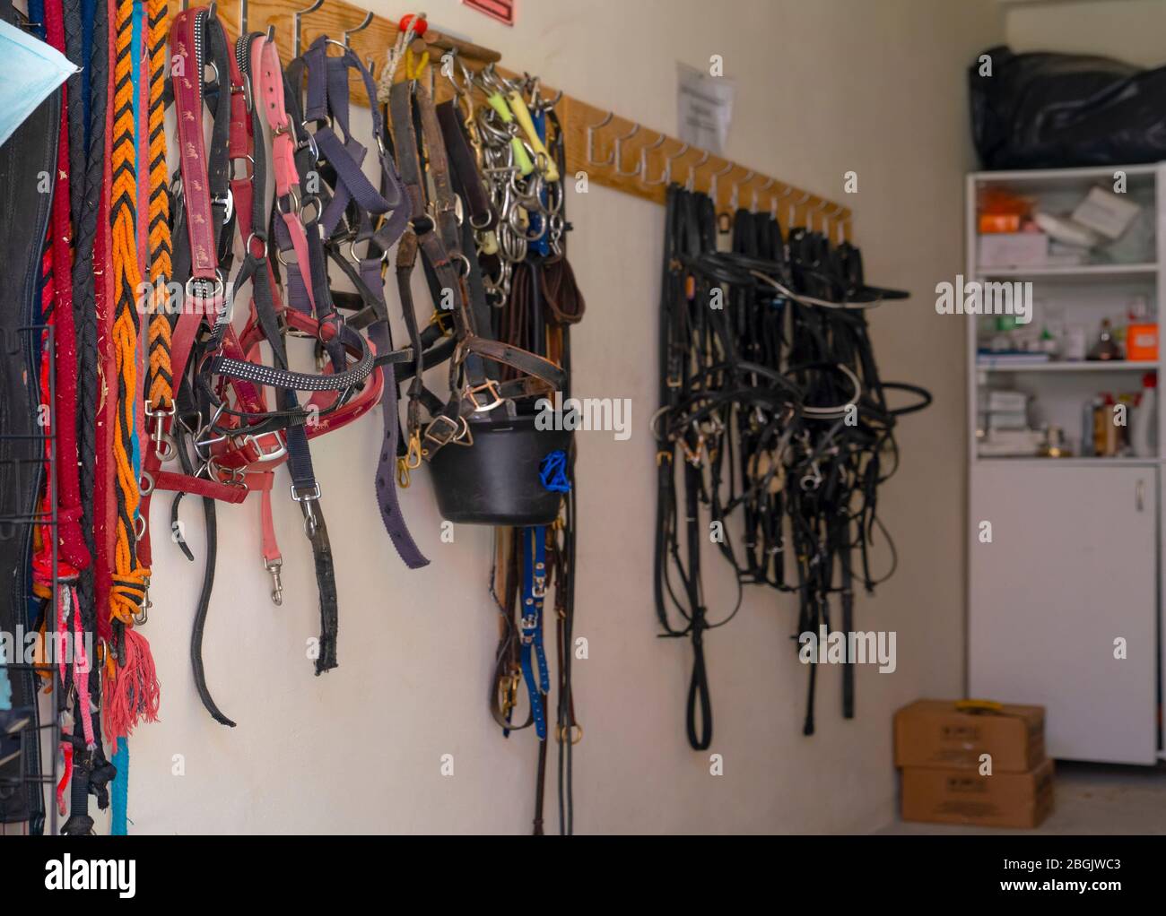 Vintage horse tack hi-res stock photography and images - Alamy