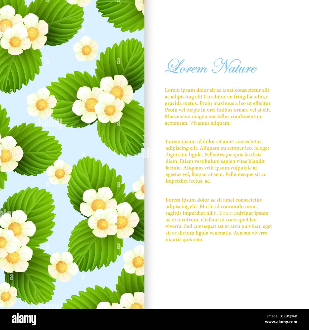 Nature banner and poster template with realistic leaves and flowers. Vector illustration Stock Vector