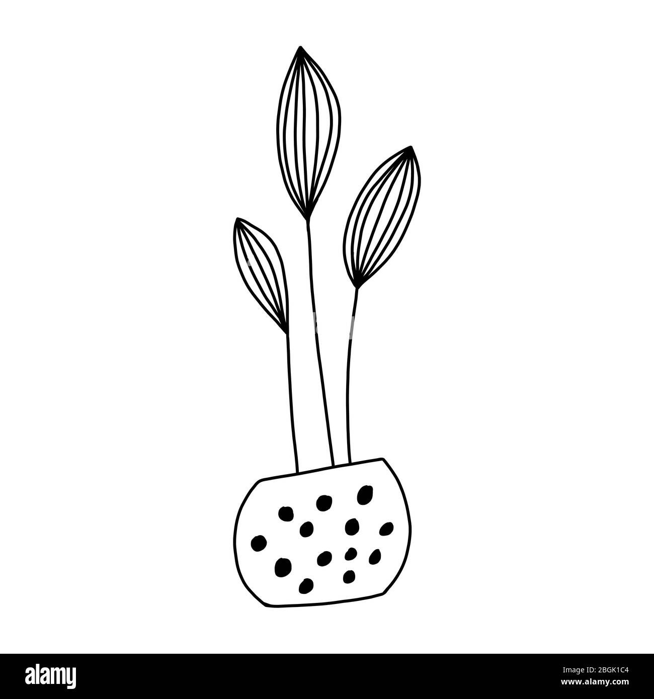 Cute hand drawn flower in pot. Single doodle icon element. Isolated on white background. Vector stock illustration. Stock Vector