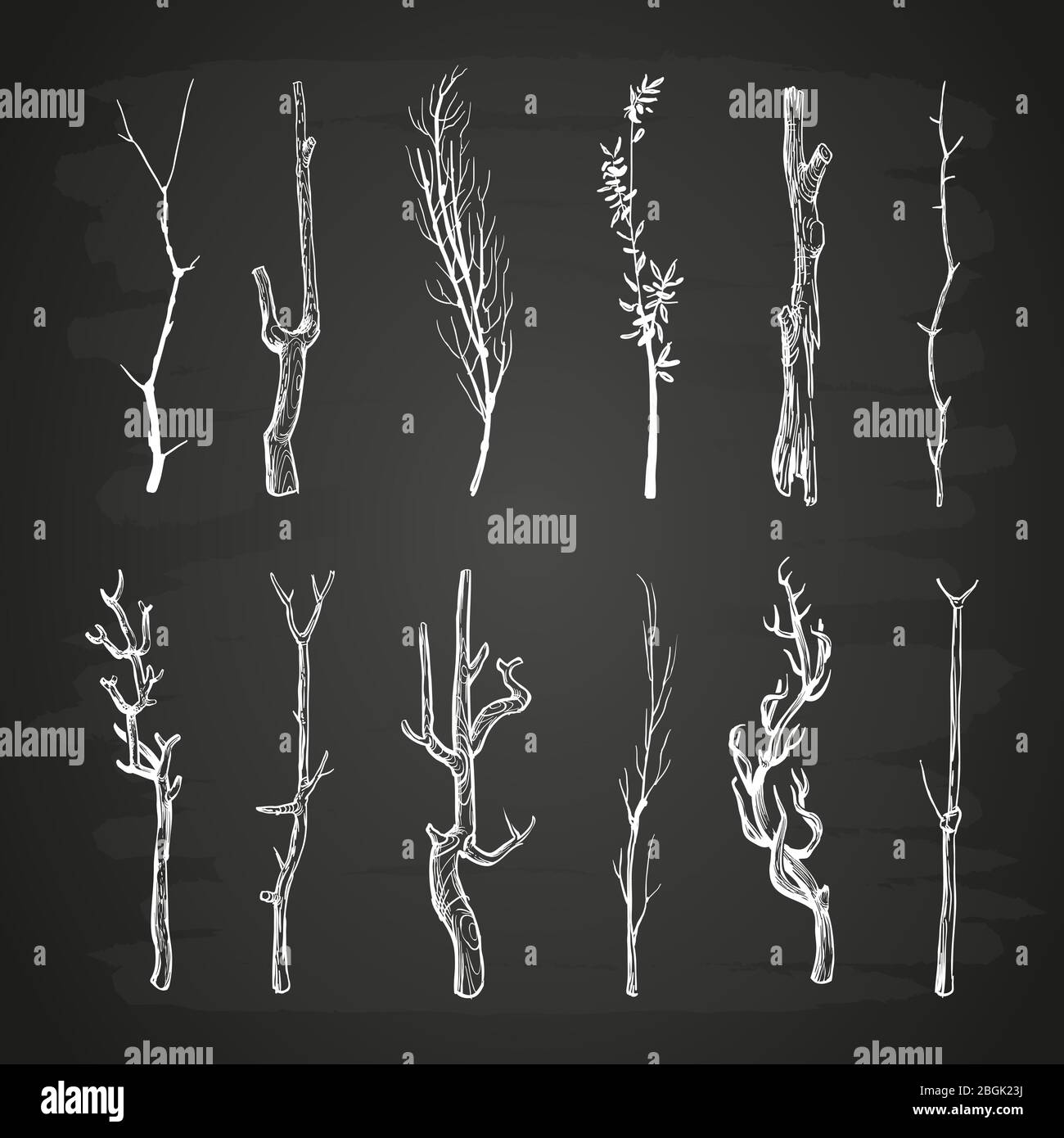 Sketch wood branches set on blackboard. Branch wood tree, nature stick