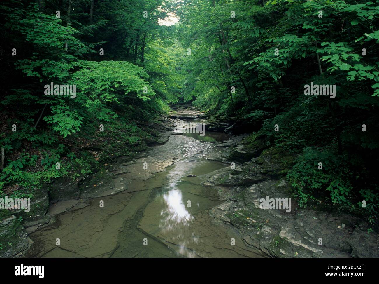 Buttermilk Creek, Buttermilk Falls State Park, New York Stock Photo Alamy