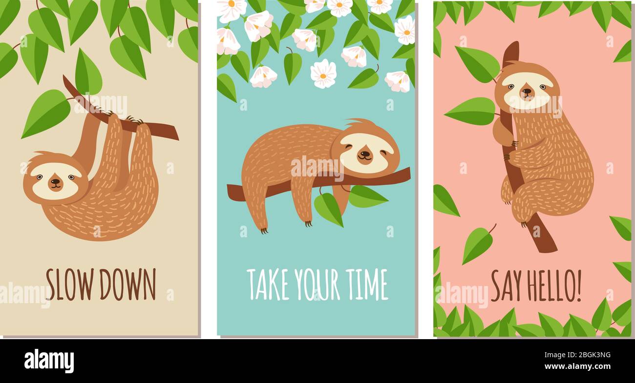 Lazy sloth. Cute slumbering sloths on branch. Child t shirt design or greeting cards vector set. Illustration of slumber animal, laziness and sleep on branch Stock Vector