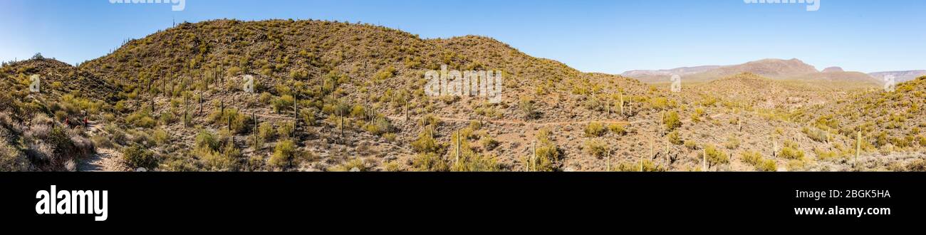 A panorama in the Apache Wash section of the Phoenix Sonoran desert preserve showing two hikers and a biker on the trail (left side), Phoenix, Arizona Stock Photo