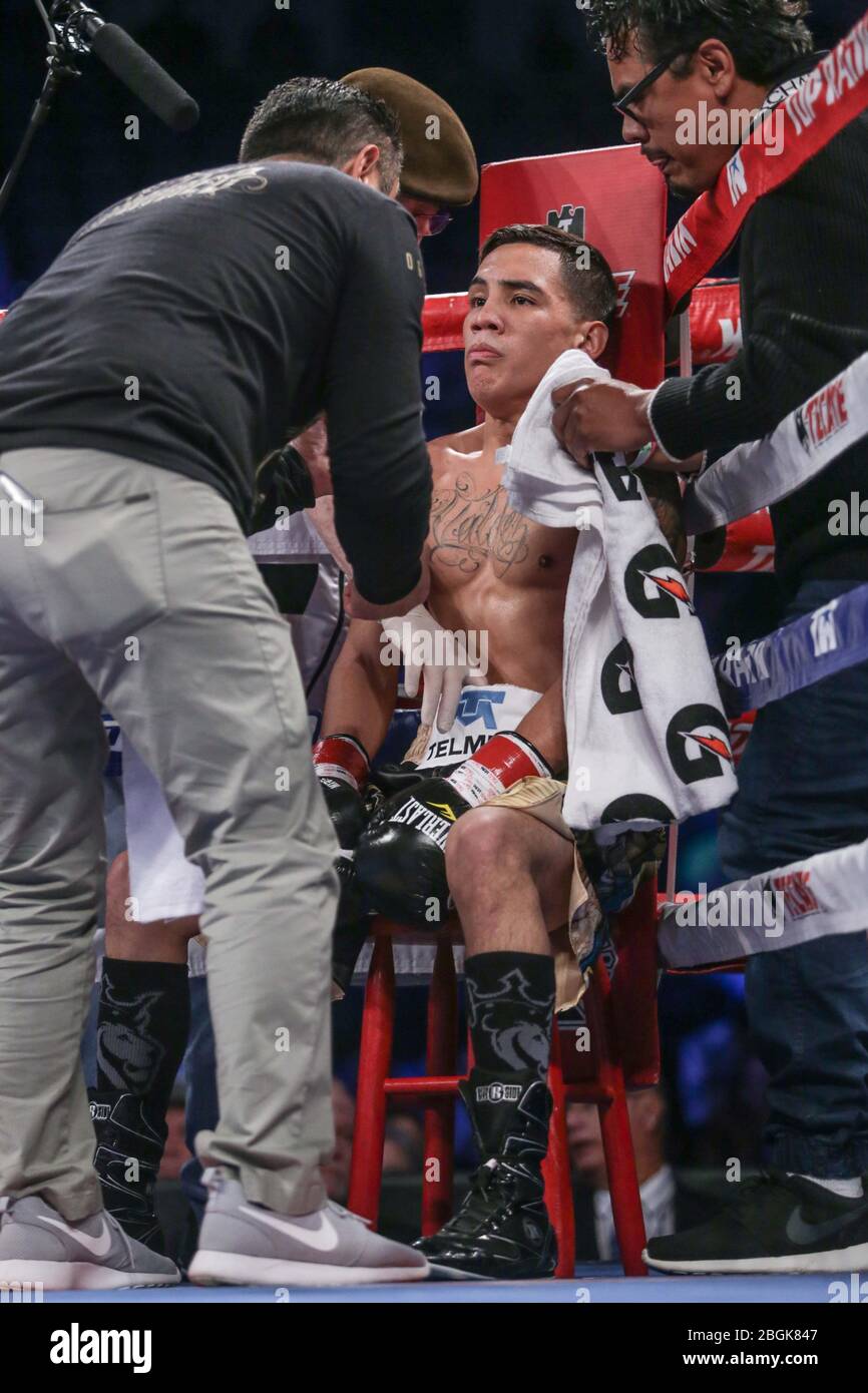 The Mexican boxer originally from Sonora Nogales, Oscar Valdez (gold) won by knockout night of Saturday to Ernie Sanchez city of Zamboanga del Sur (red) during boxing match featherweight held at the Tucson Convention Center Arizona. Photo: Luis Gutierrez Stock Photo