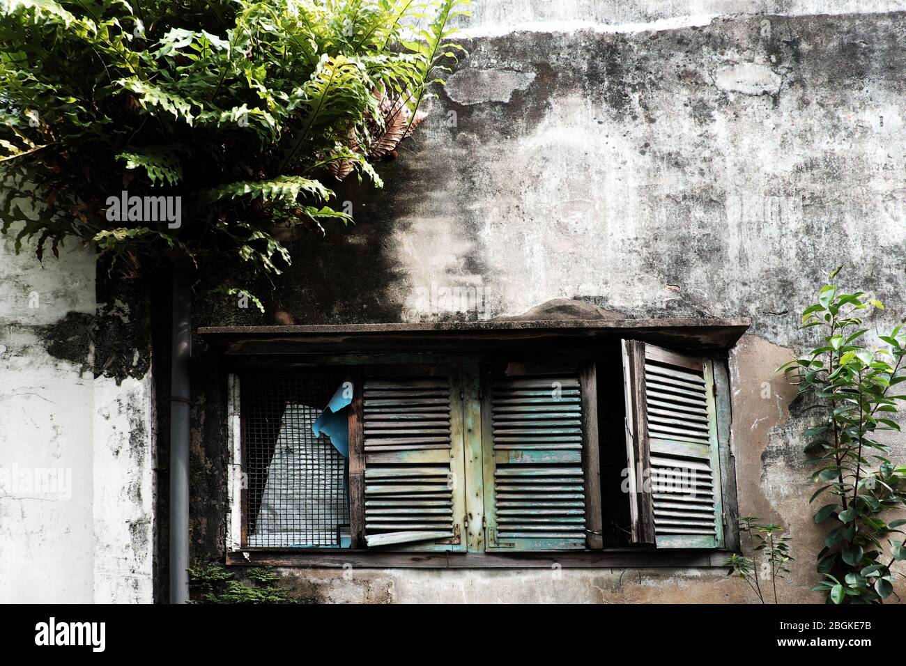 View of exterior aged  house with old wooden window and fern plant grow up on wall at Ho Chi Minh city, Vietnam on day Stock Photo