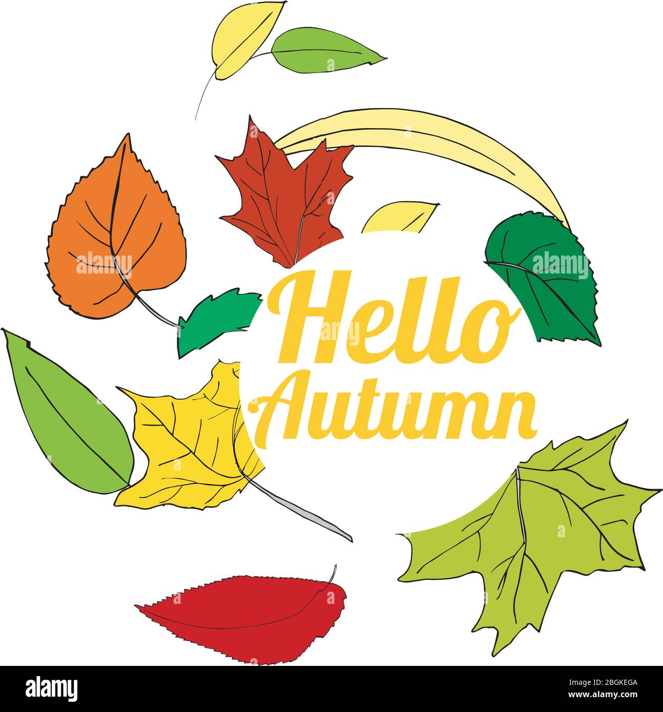 Vector illustration autumn leaves isolated on white Stock Vector Image ...