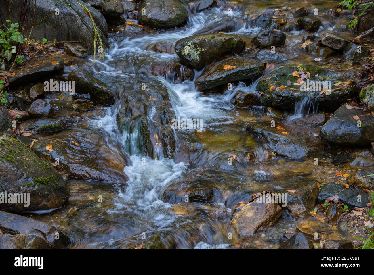 Water Flowing in Rock Stream with Fallen Leaves Detail Stock Photo