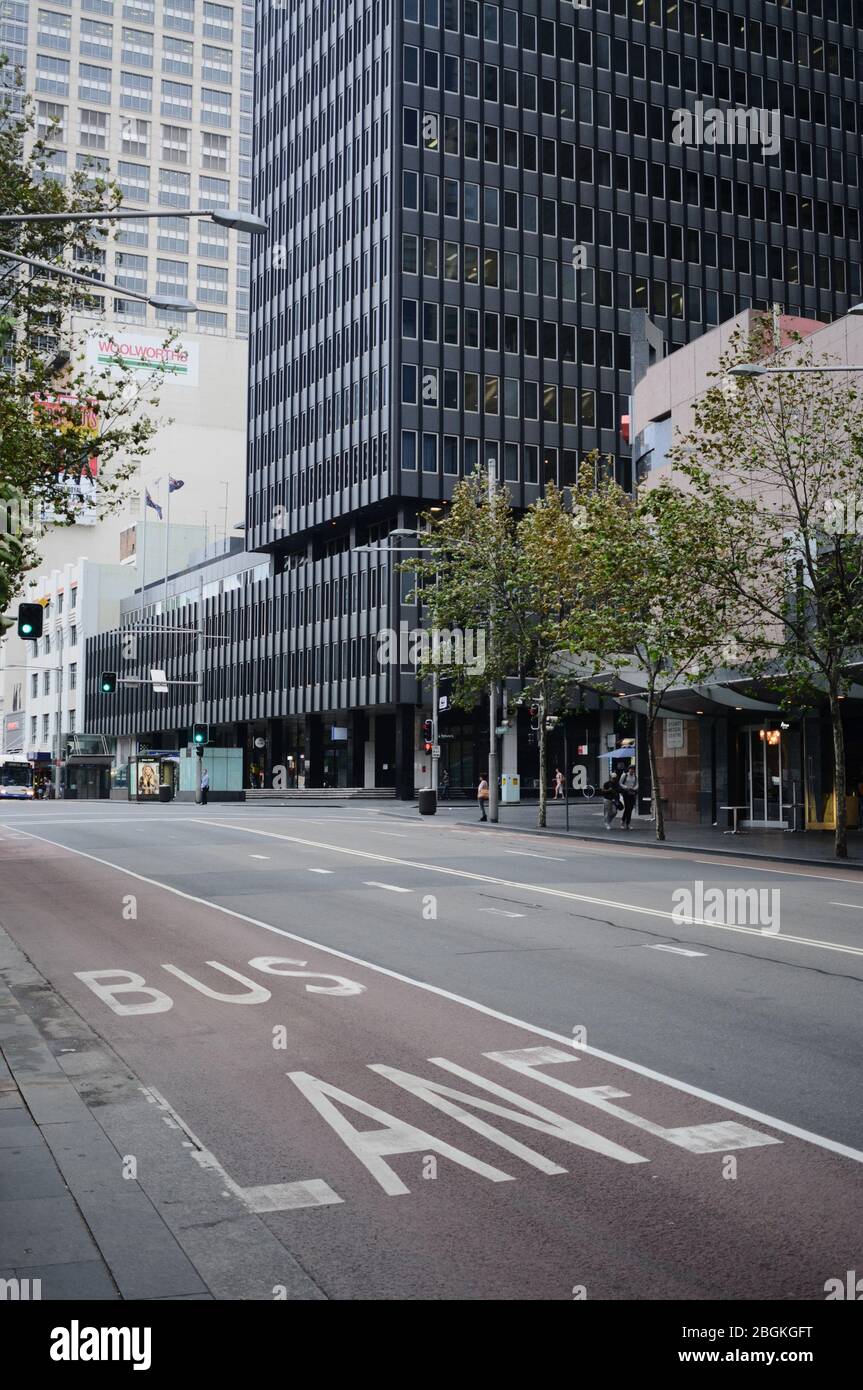 Early morning and empty George Street bus lane Sydney looking toward Bathurst St and the black facade of the state electricity building Stock Photo