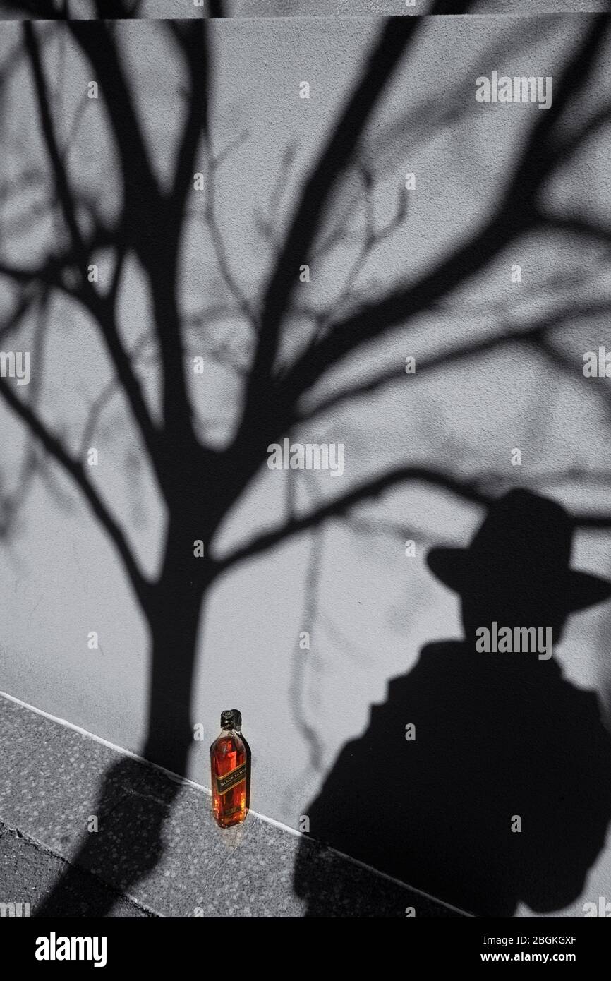 Johnnie Walker Black Label Scotch Whisky, tree branches a fedora hat with a mans shadow in a film noir style Stock Photo