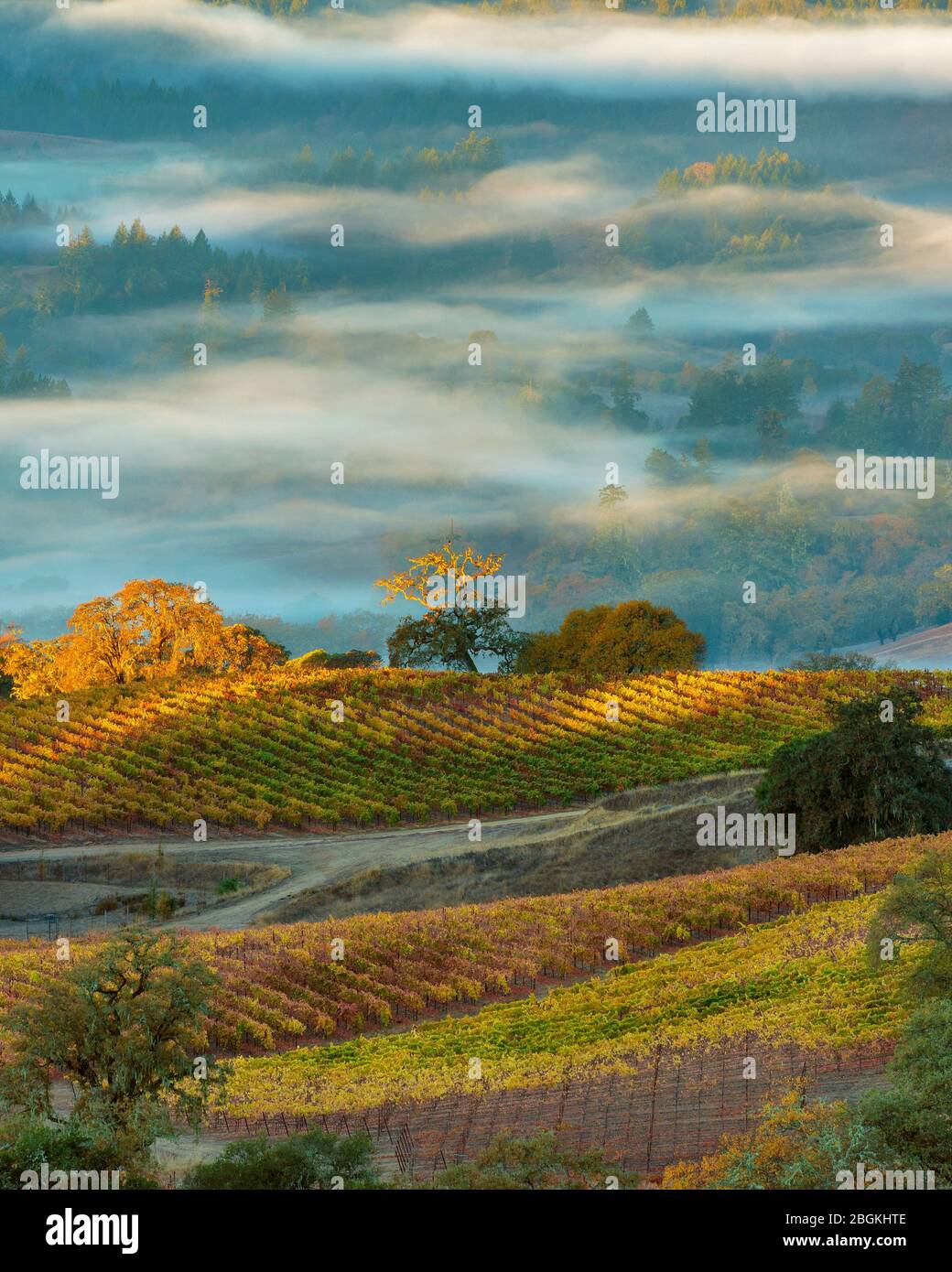 Yorkville california hires stock photography and images Alamy