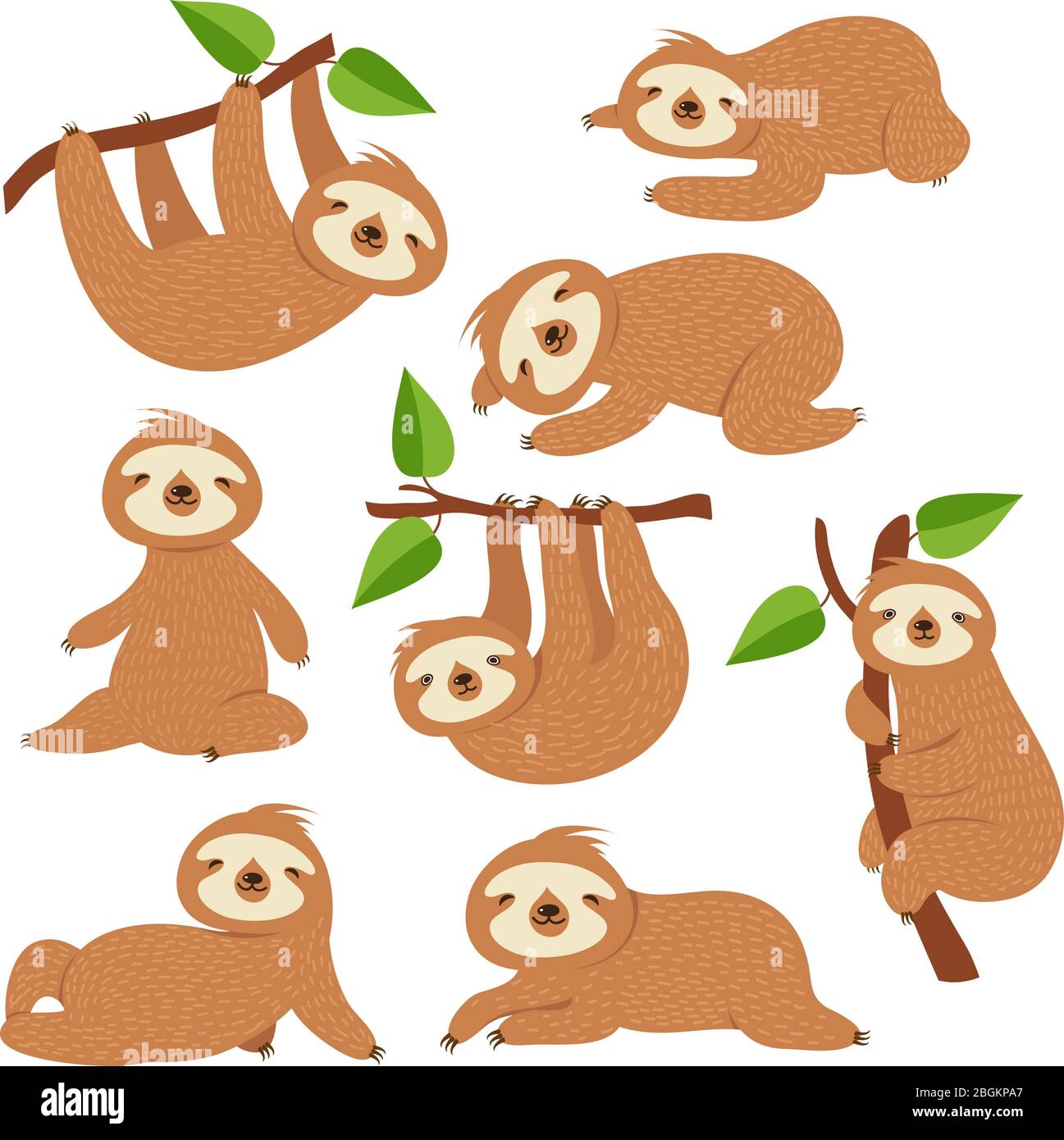 Cartoon sloths. Cute sloth hanging on branch in amazon rainforest. Lazy jungle animal vector characters. Sloth lazy wild animal, wildlife in rainfores Stock Vector