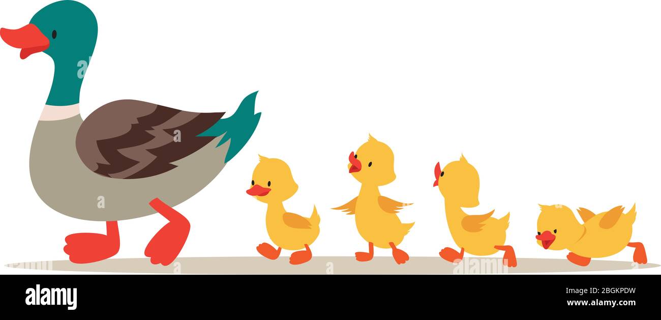 Mother duck and ducklings. Cute baby ducks walking in row. Cartoon vector illustration. Duck mother animal and family duckling Stock Vector