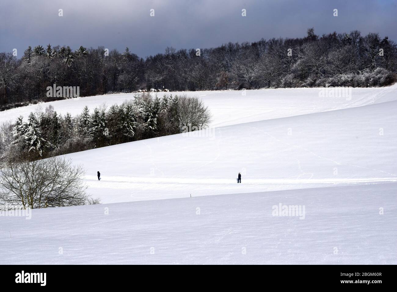 Winterlandschaft und Schneelandschaft in Taunusstein im Taunus. Winter landscape and snow landscape in Taunusstein in the Taunus. Stock Photo