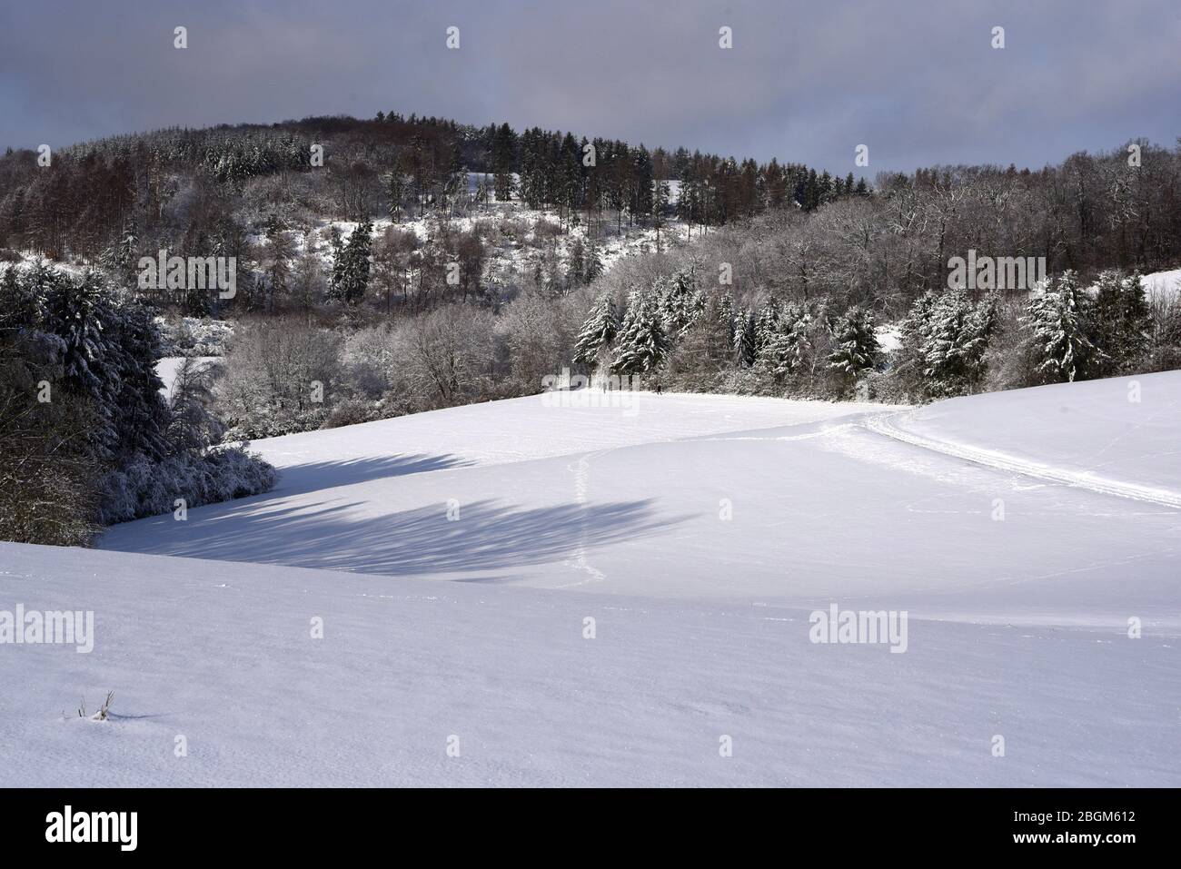 Winterlandschaft und Schneelandschaft in Taunusstein im Taunus. Winter landscape and snow landscape in Taunusstein in the Taunus. Stock Photo