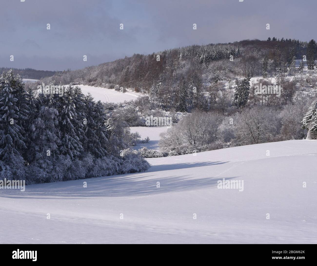 Winterlandschaft und Schneelandschaft in Taunusstein im Taunus. Winter landscape and snow landscape in Taunusstein in the Taunus. Stock Photo