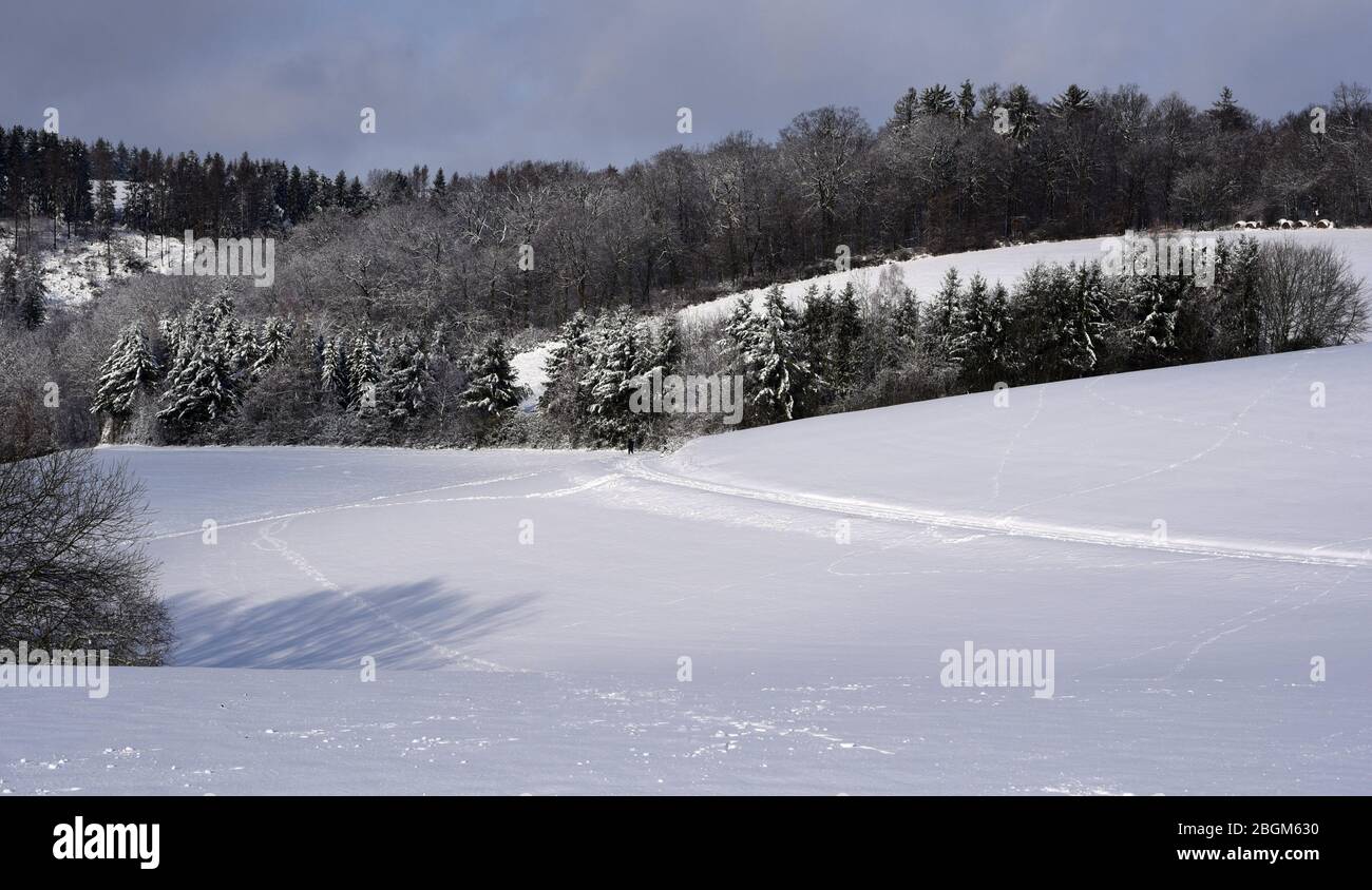 Winterlandschaft und Schneelandschaft in Taunusstein im Taunus. Winter landscape and snow landscape in Taunusstein in the Taunus. Stock Photo