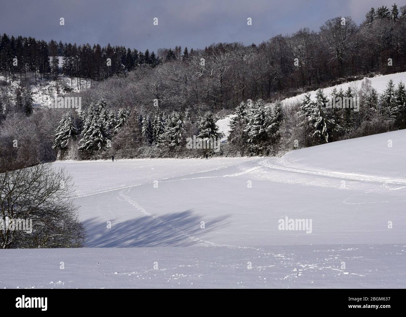 Page 2 - Im Schnee und Winter High Resolution Stock Photography and Images  - Alamy