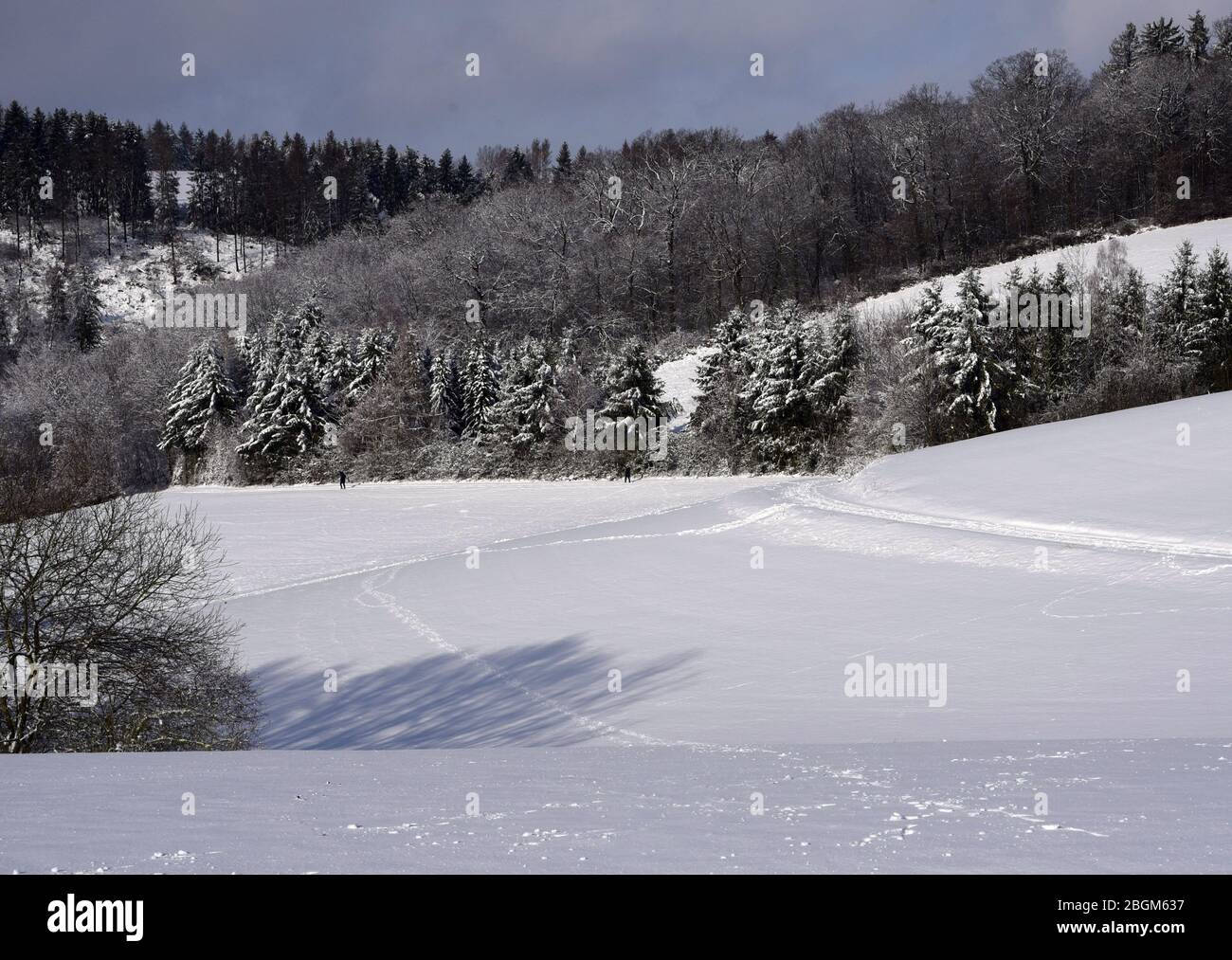 Winterlandschaft und Schneelandschaft in Taunusstein im Taunus. Winter landscape and snow landscape in Taunusstein in the Taunus. Stock Photo