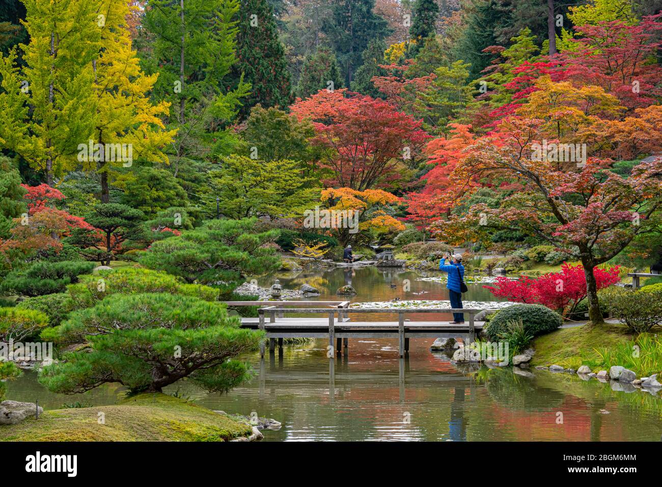 Fall Foliage Photography in a Japanese Garden Stock Photo