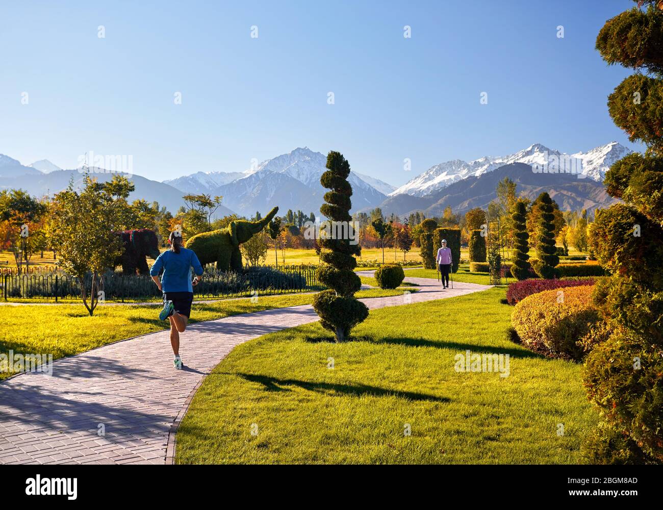 Young couple training in topiary park. Man is jogging and woman doing Nordic walking with poles. Healthy life concept. Stock Photo