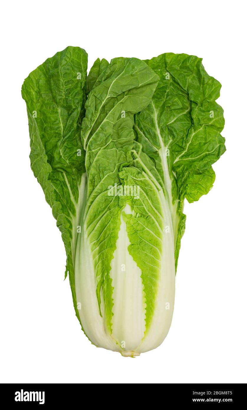 fresh chinese cabbage isolated on a white background with clipping path Stock Photo