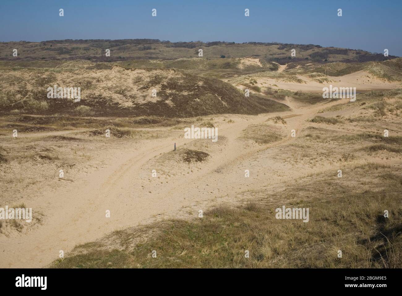 Sandy path and bridleway in heart of dunes at Merthyr Mawr nature reserve Stock Photo