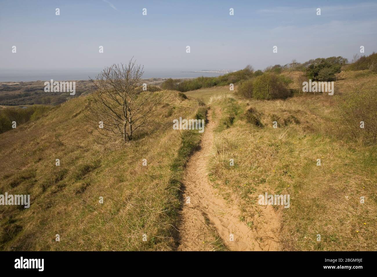 path high on Merthyr Mawr nature in view towards Porthcawl in distance Stock Photo