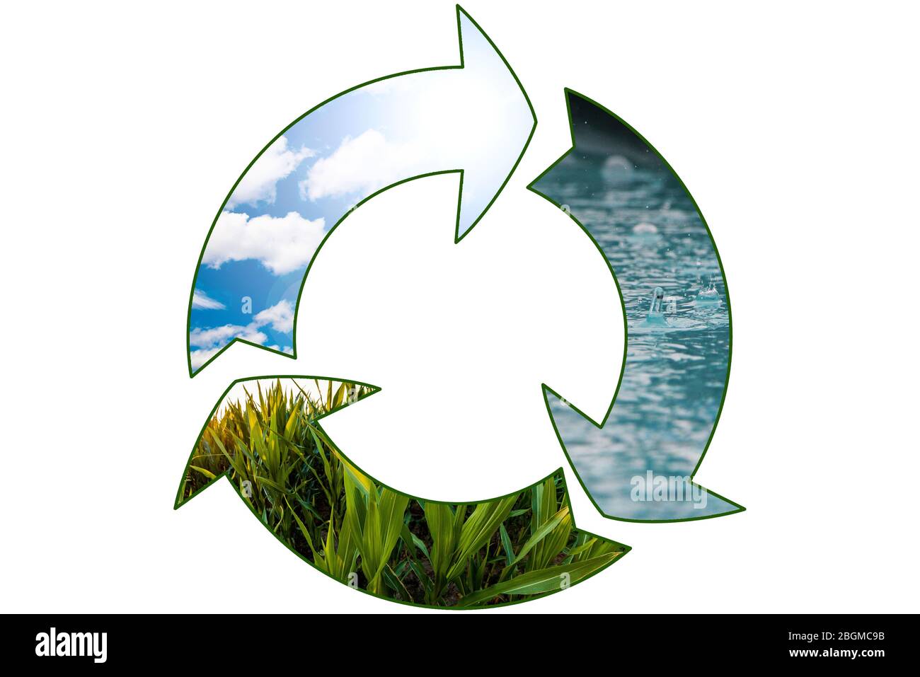 vegetable food production green renewable sustainable economy water