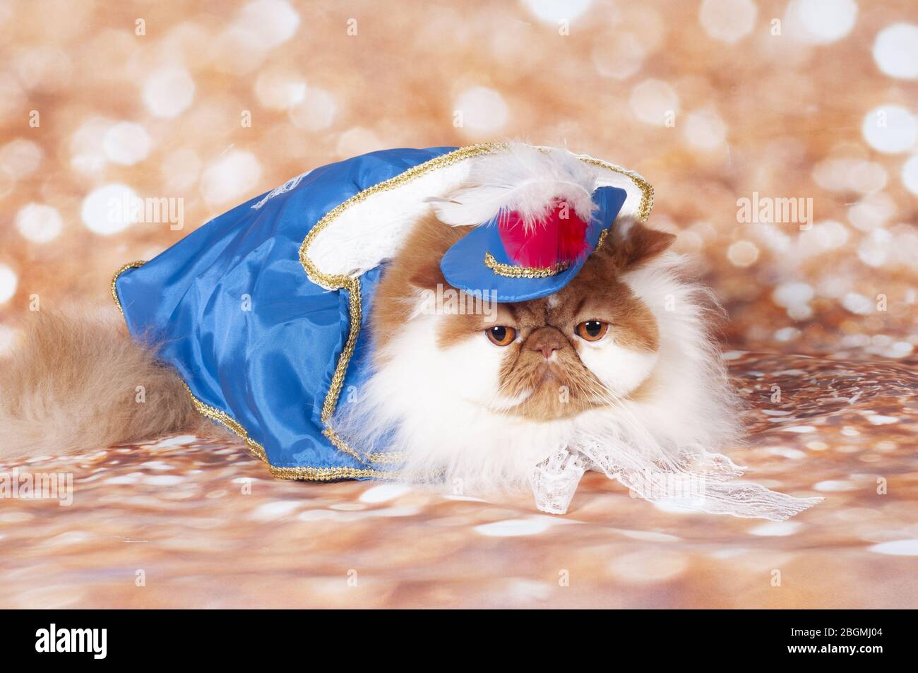 a persian varrior prince in the blue dress and hat Stock Photo