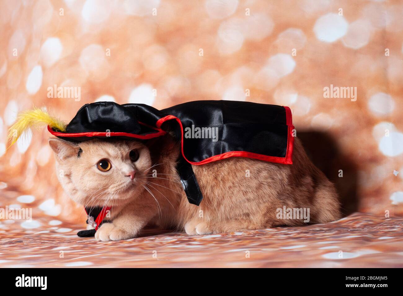 Zorro hat hi-res stock photography and images - Alamy