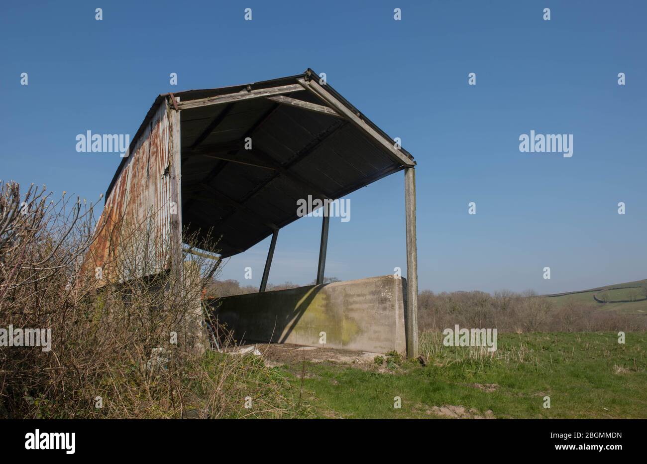 Dilapidated Farm Barn in a Field with a Bright Blue Sky Background in the Rural Devon Countryside, England, UK Stock Photo