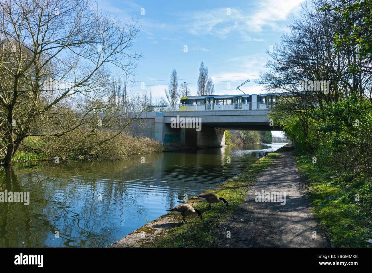 Metrolink tram crossing the Bridgewater Canal on the opening day of the Trafford Park Line, 22 March 2020.  Barton Dock Rd., Trafford, Manchester, UK Stock Photo
