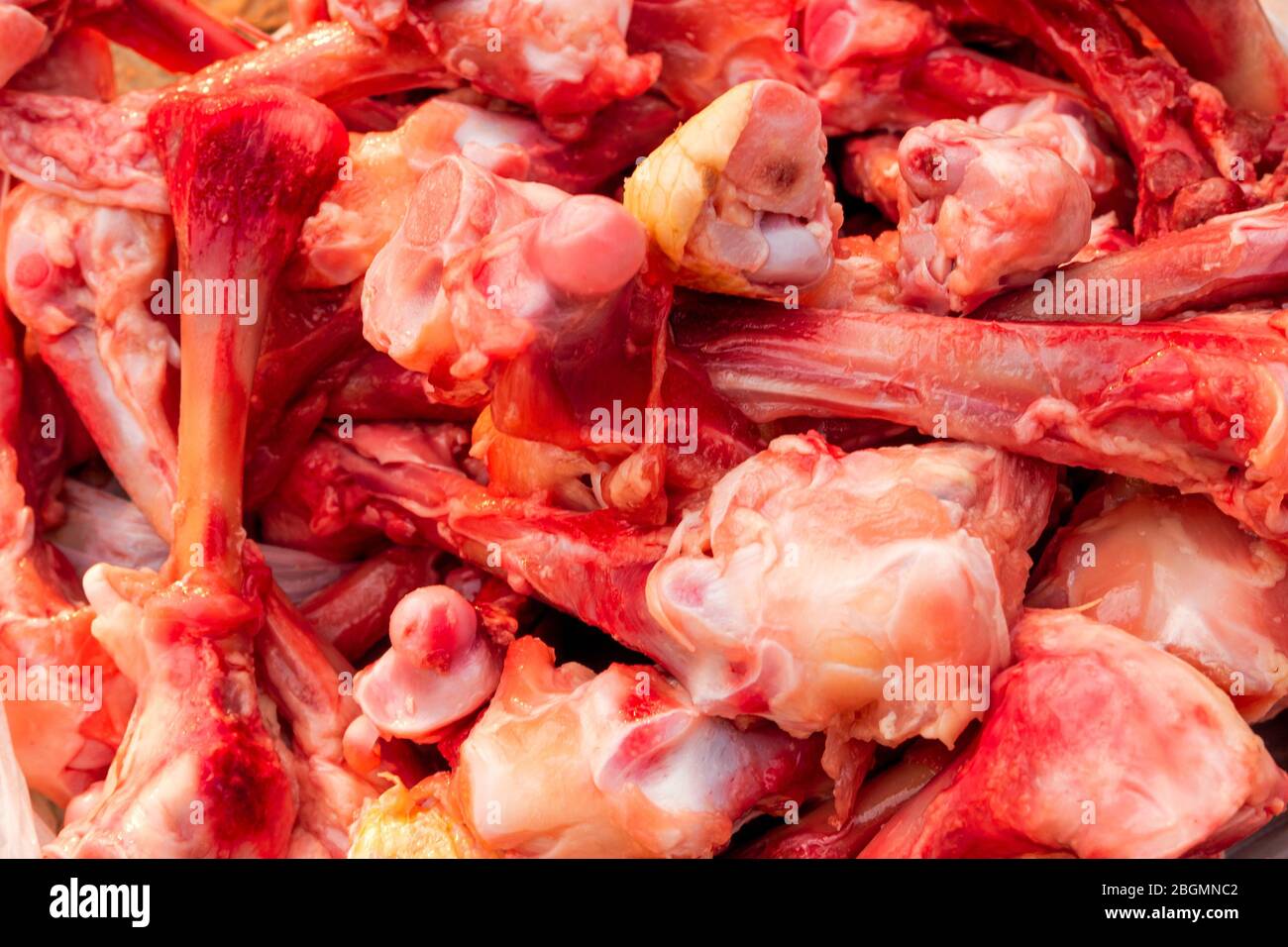 Raw chicken bones for dogs deals