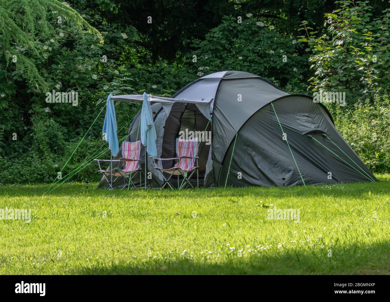 A green tent with two folding chairs set up in a green field camping site. Stock Photo